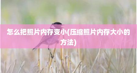 怎么把照片内存变小(压缩照片内存大小的方法)