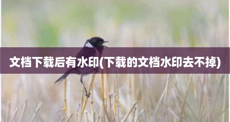 文档下载后有水印(下载的文档水印去不掉)