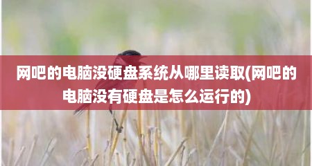 网吧的电脑没硬盘系统从哪里读取(网吧的电脑没有硬盘是怎么运行的)