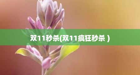 双11秒杀(双11疯狂秒杀 )