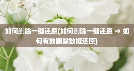如何删除一键还原(如何删除一键还原 → 如何有效删除数据还原)