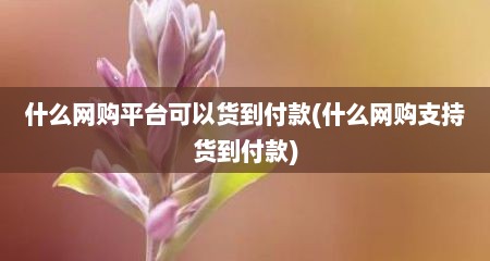 什么网购平台可以货到付款(什么网购支持货到付款)
