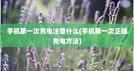 手机第一次充电注意什么(手机第一次正确充电方法)