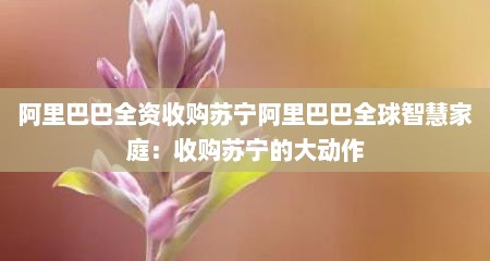 阿里巴巴全资收购苏宁阿里巴巴全球智慧家庭：收购苏宁的大动作