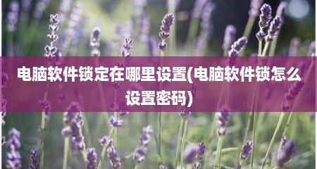 电脑软件锁定在哪里设置(电脑软件锁怎么设置密码)