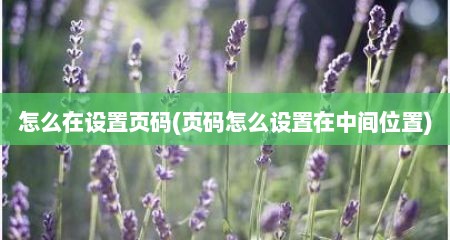 怎么在设置页码(页码怎么设置在中间位置)