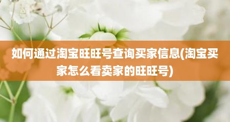 如何通过淘宝旺旺号查询买家信息(淘宝买家怎么看卖家的旺旺号)