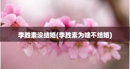 李胜素没结婚(李胜素为啥不结婚)