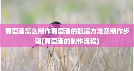 葡萄酒怎么制作葡萄酒的酿造方法及制作步骤(葡萄酒的制作流程)