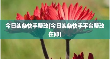 今日头条快手整改(今日头条快手平台整改在即)