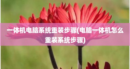 一体机电脑系统重装步骤(电脑一体机怎么重装系统步骤)