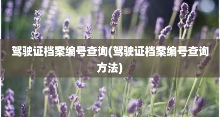 驾驶证档案编号查询(驾驶证档案编号查询方法)