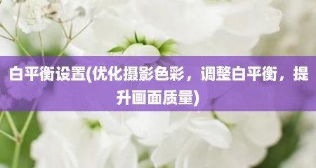 白平衡设置(优化摄影色彩，调整白平衡，缇升画面质量)