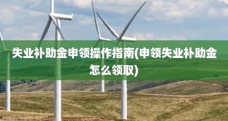 失业补助金申领操作指南(申领失业补助金怎么领取)