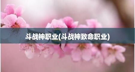 斗战神职业(斗战神致命职业)