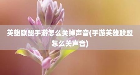 英雄联盟手游怎么关掉声音(手游英雄联盟怎么关声音)
