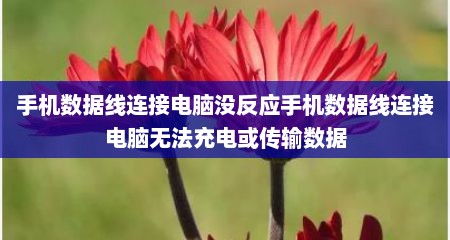 手机数据线连接电脑没反应手机数据线连接电脑无法充电或传输数据