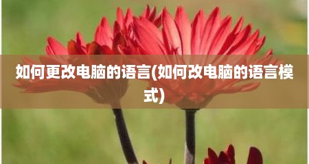 如何更改电脑的语言(如何改电脑的语言模式)