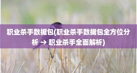 职业杀手数据包(职业杀手数据包全方位分析 → 职业杀手全面解析)