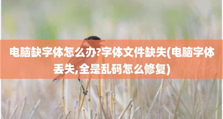 电脑缺字体怎么办?字体文件缺失(电脑字体丢失,全是乱码怎么修复)