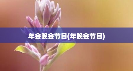 年会晚会节目(年晚会节目)