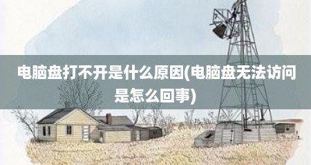 电脑盘打不开是什么原因(电脑盘无法访问是怎么回事)