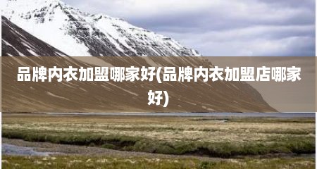 品牌内衣加盟哪家好(品牌内衣加盟店哪家好)