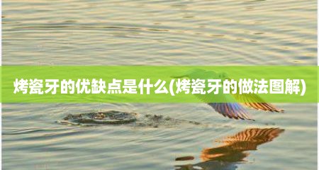 烤瓷牙的优缺点是什么(烤瓷牙的做法图解)