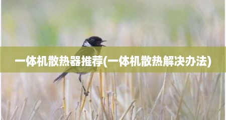 一体机散热器推荐(一体机散热解决办法)