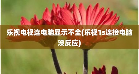 乐视电视连电脑显示不全(乐视1s连接电脑没反应)