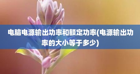 电脑电源输出功率和额定功率(电源输出功率的大小等于多少)