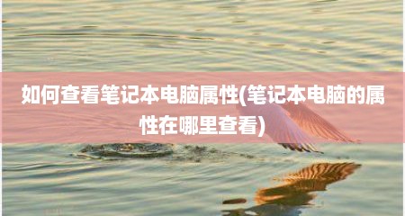 如何查看笔记本电脑属性(笔记本电脑的属性在哪里查看)