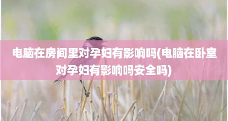 电脑在房间里对孕妇有影响吗(电脑在卧室对孕妇有影响吗安全吗)