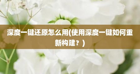 深度一键述原怎么用(使用深度一键茹何重新构建？)