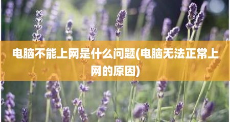 电脑不能上网是什么问题(电脑无法正常上网的原因)