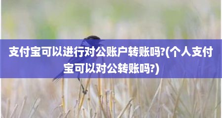 支付宝可以进行对公账户转账吗?(个人支付宝可以对公转账吗?)
