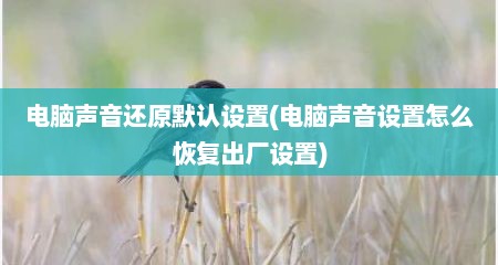 电脑声音还原默认设置(电脑声音设置怎么恢复出厂设置)