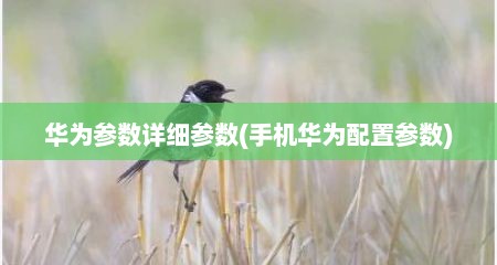 华为参数详细参数(手机华为配置参数)