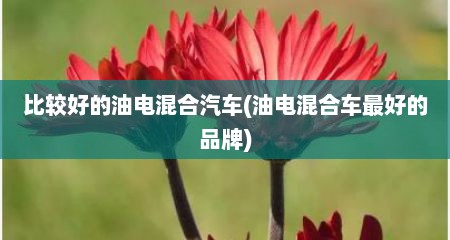 比较好的油电混合汽车(油电混合车最好的品牌)