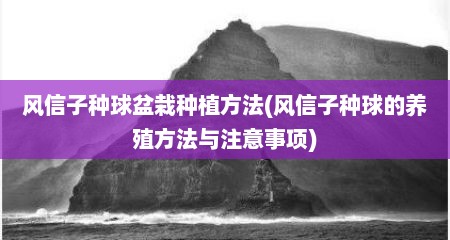 风信子种球盆栽种植方法(风信子种球的养殖方法与注意事项)