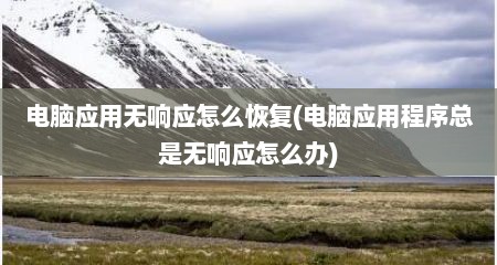 电脑应用无响应怎么恢复(电脑应用程序总是无响应怎么办)