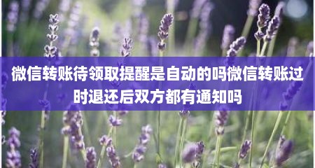 微信转账待领取提醒是自动的吗微信转账过时退还后双方都有通知吗