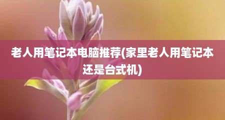 老人用笔记本电脑推荐(家里老人用笔记本还是台式机)
