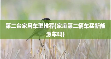 第二台家用车型推荐(家庭第二辆车买新能源车吗)