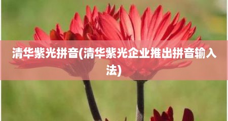 清华紫光拼音(清华紫光企业推出拼音输入法)