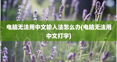 电脑无法用中文输入法怎么办(电脑无法用中文打字)