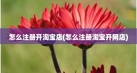 怎么注册开淘宝店(怎么注册淘宝开网店)