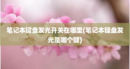 笔记本键盘发光开关在哪里(笔记本键盘发光是哪个键)