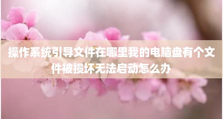 操作系统引导文件在哪里我的电脑盘有个文件被损坏无法启动怎么办