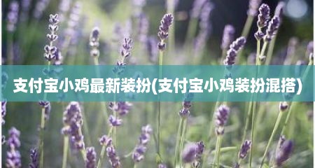 支付宝小鸡最新装扮(支付宝小鸡装扮混搭)